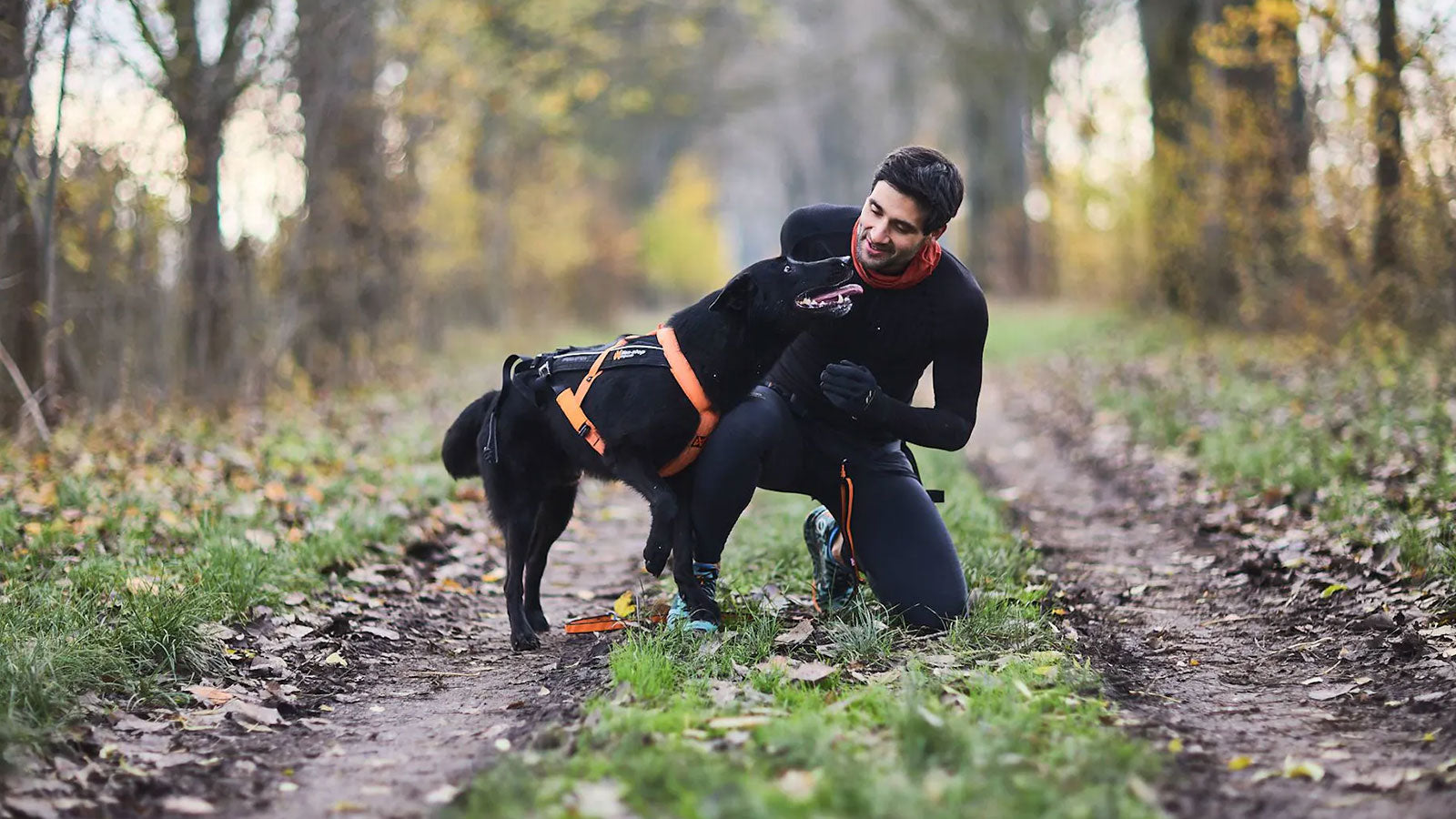 How to warm up and cool down your dog for Canicross and Bikejoring