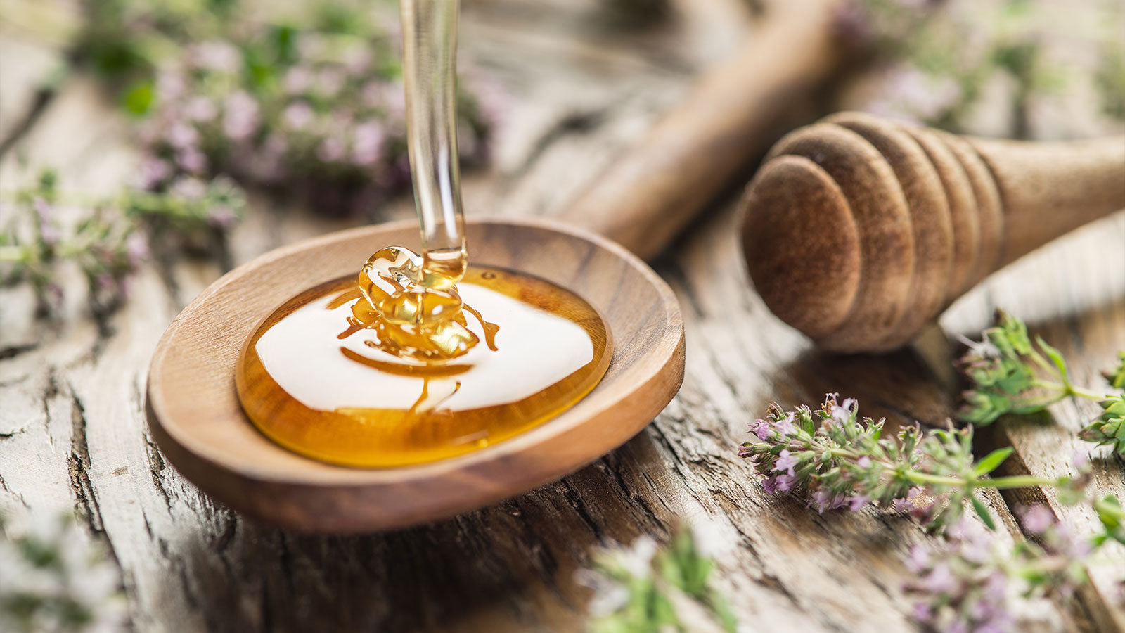 The Sweet Benefits of Honey for Dogs