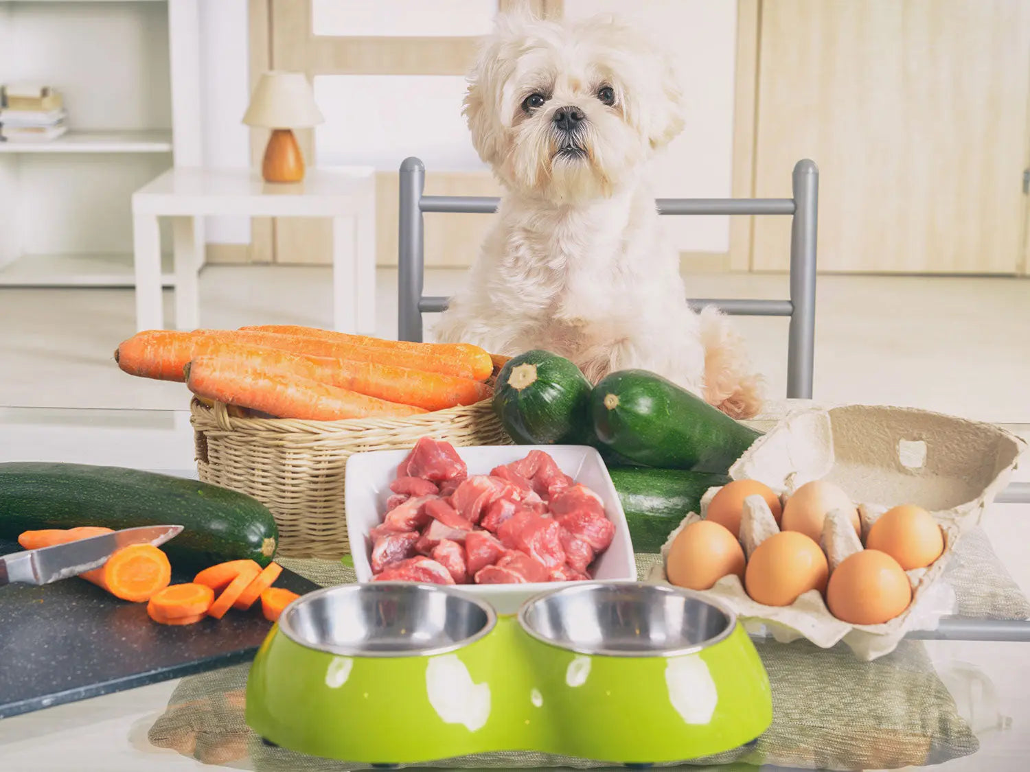 Raw Feeding Starter Guide | Human & Pets™