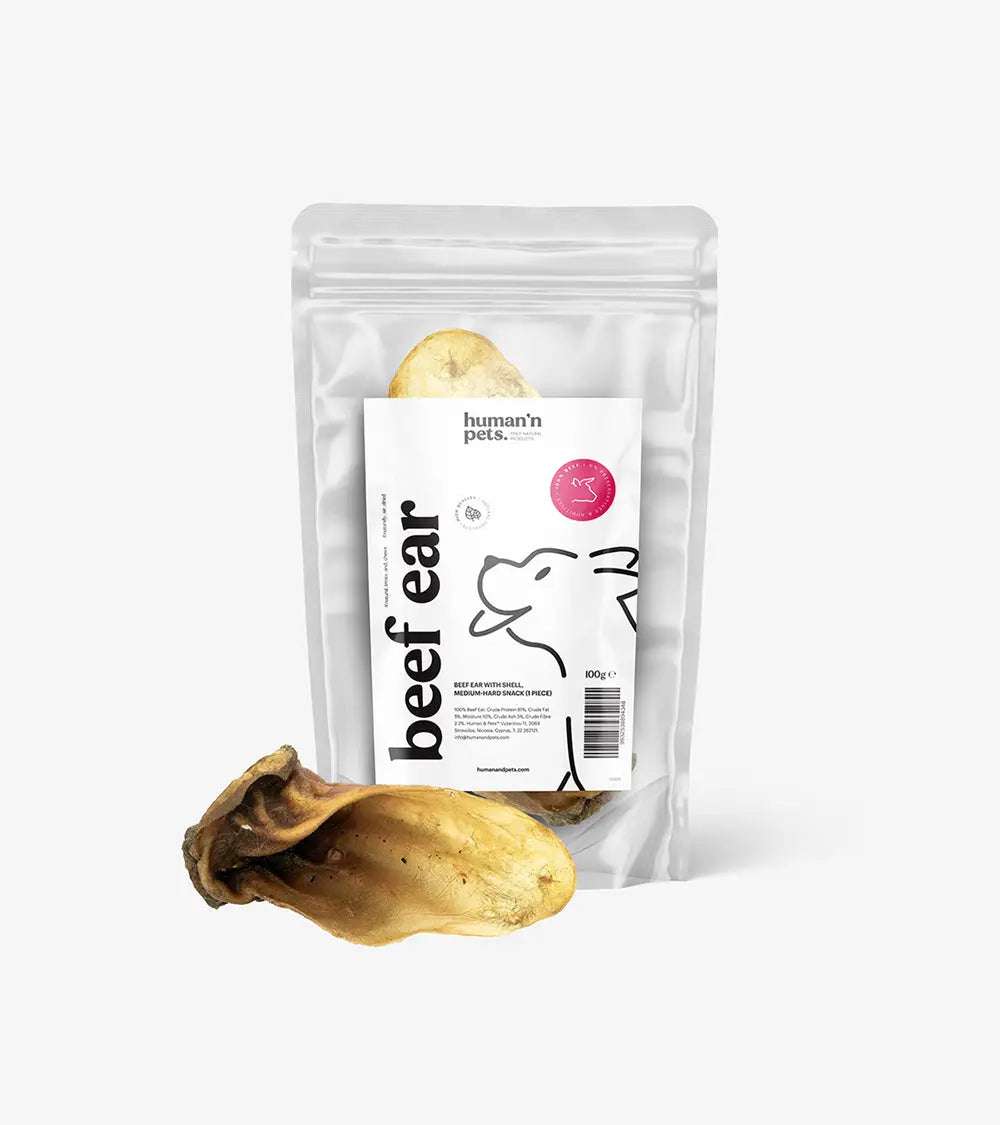 Beef Ear with Shell (1 Piece) - Treats & Chews | Human & Pets