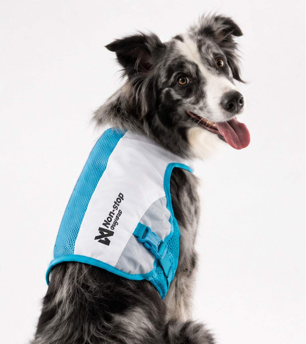 Cooling Vest