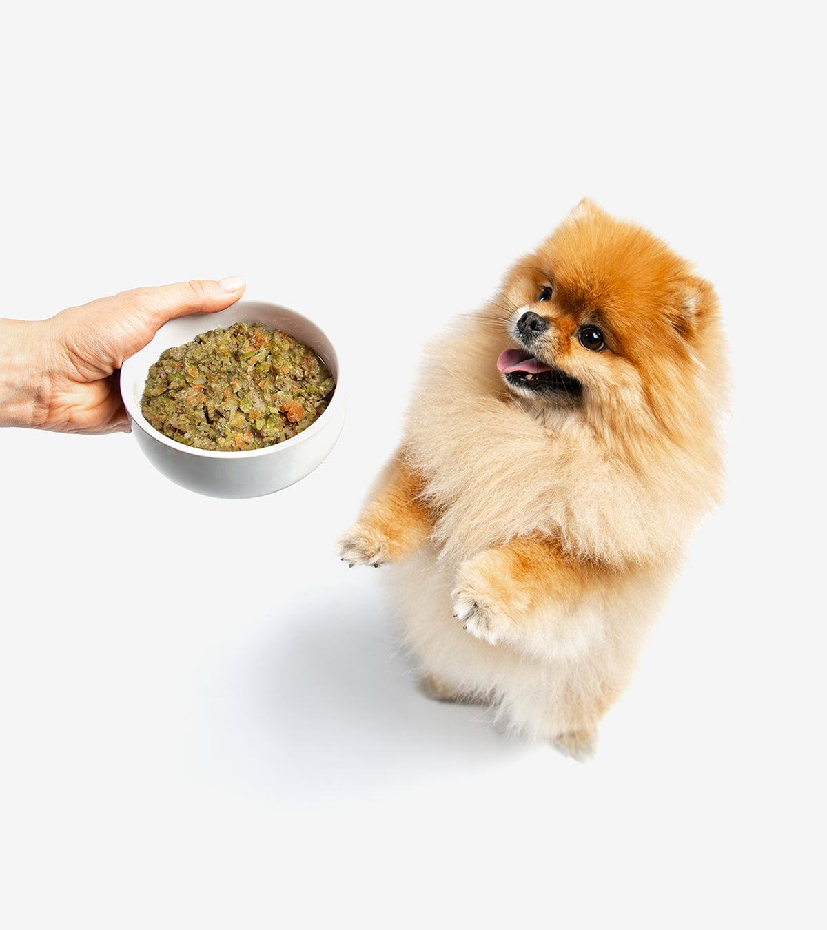 Cooked Food for Dogs with Duck