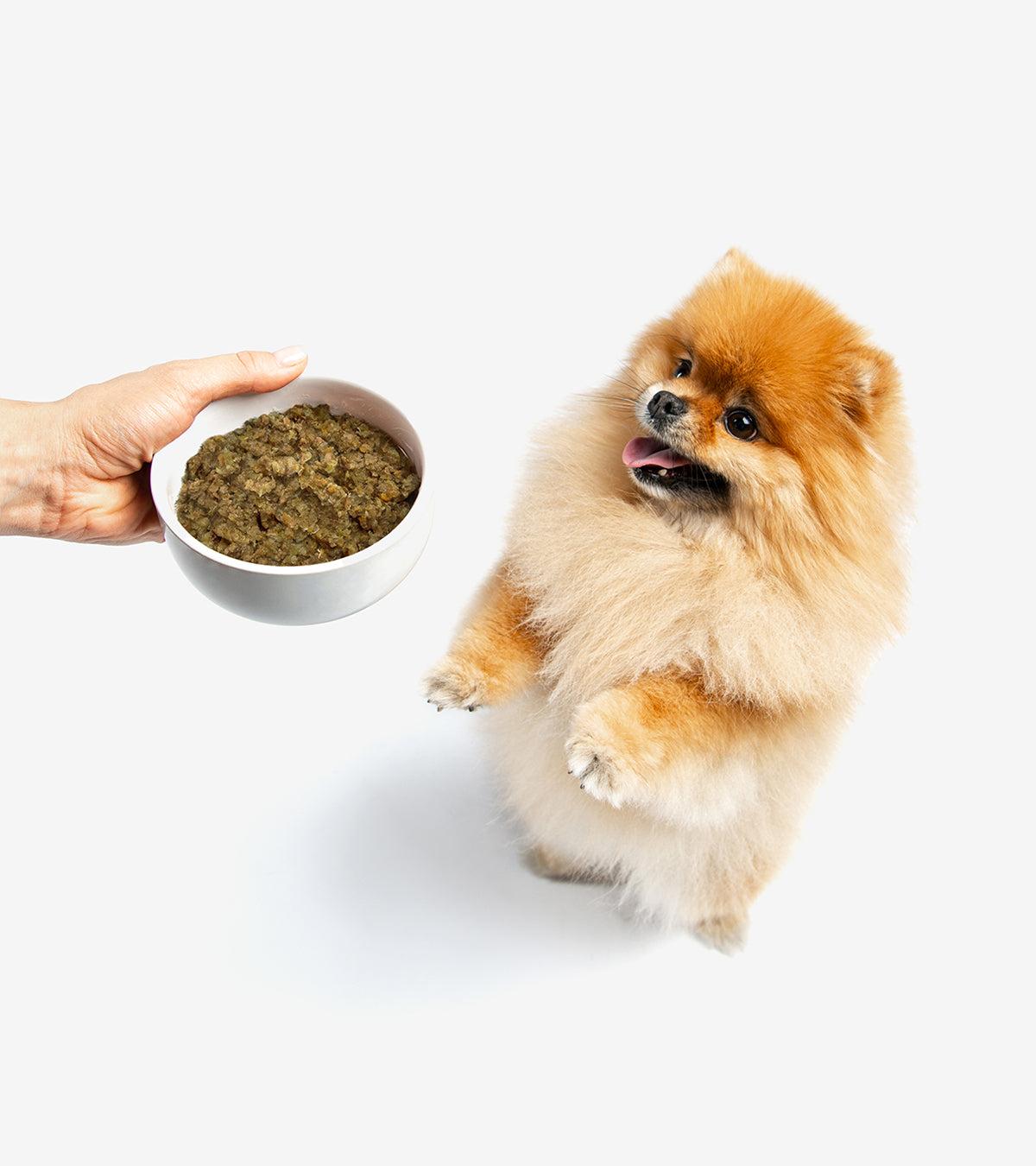 Cooked Food for Dogs - Nutritious Rabbit Meal for Optimal Health
