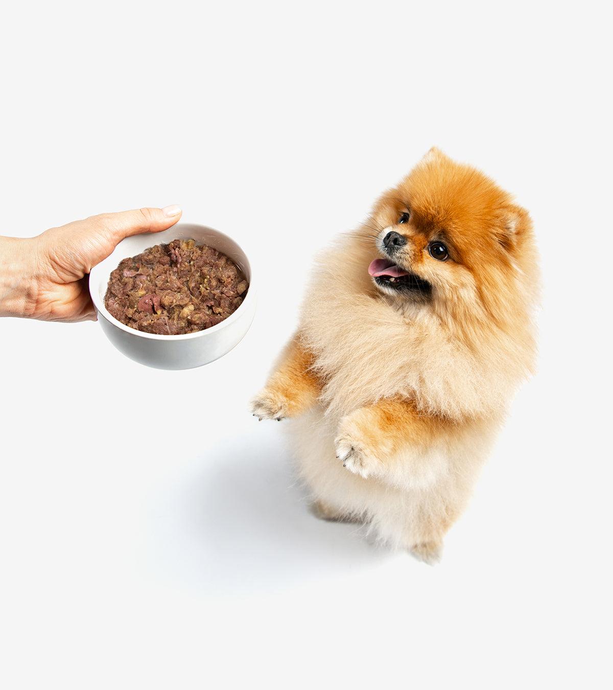 BARF Meal for Dogs - Nutritious Skin & Coat Menu with Fresh Ingredients