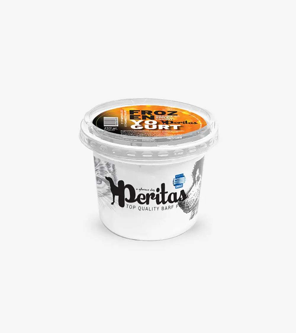 Frozen Yogurt (Orange, Apple, Carrot) - Treats & Chews | Human & Pets