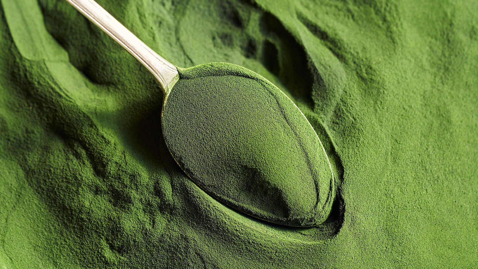 Chlorella and its Benefits for Pets