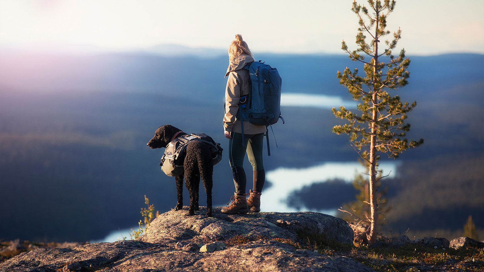 Best tips for backpacking with a dog