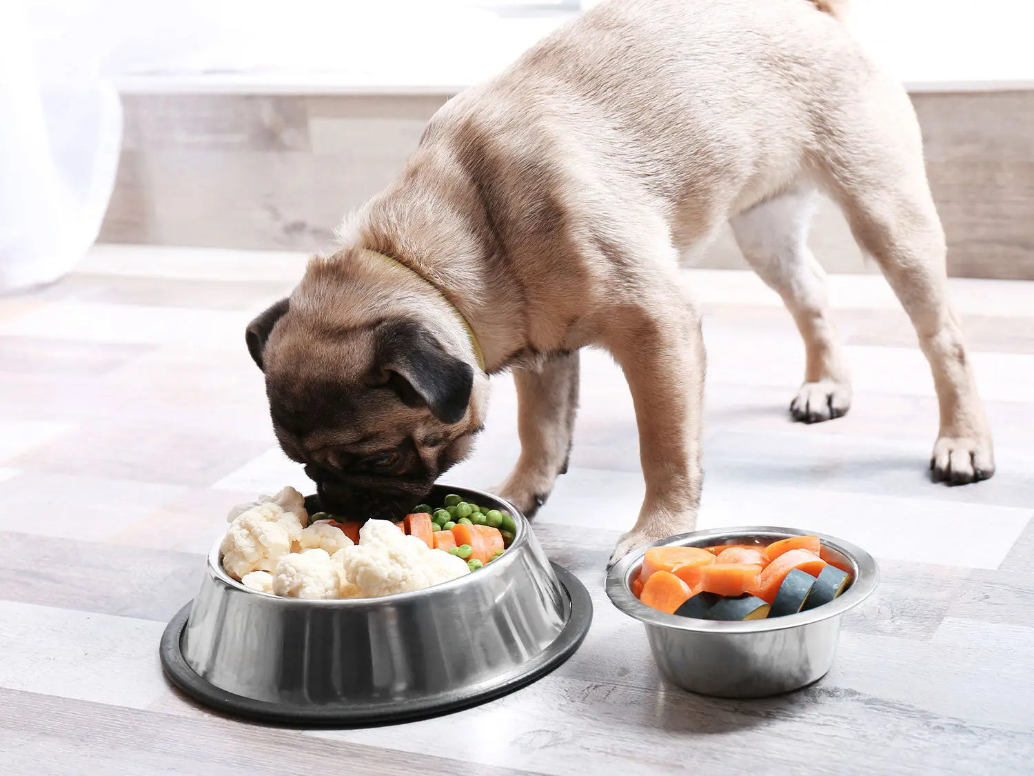 How To Ensure a Balanced Diet | Human & Pets™