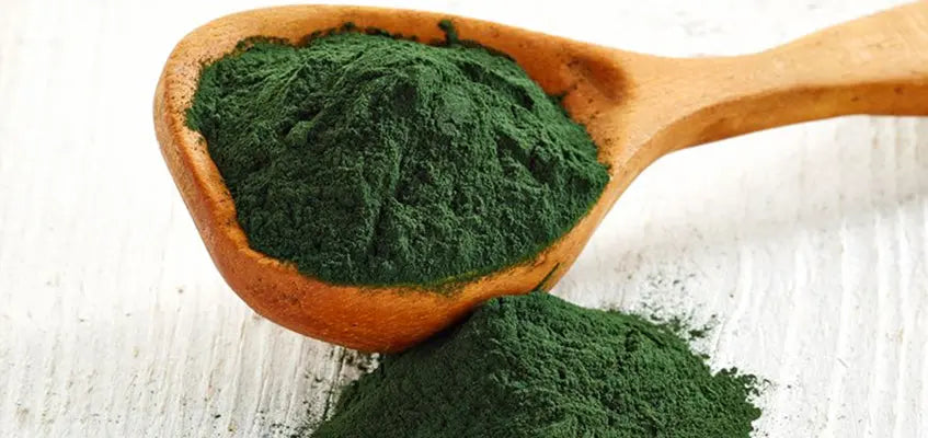 The Health Benefits of Spirulina for Pets | Human & Pets™