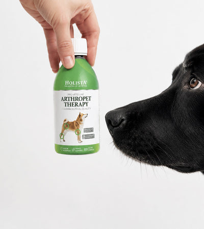 ArthroPet Therapy for Dogs & Cats - Supports Joint Mobility & Comfort