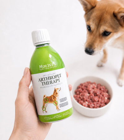 ArthroPet Therapy for Dogs & Cats - Supports Joint Mobility & Comfort