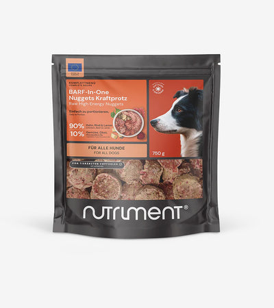 The PowerMix Nuggets