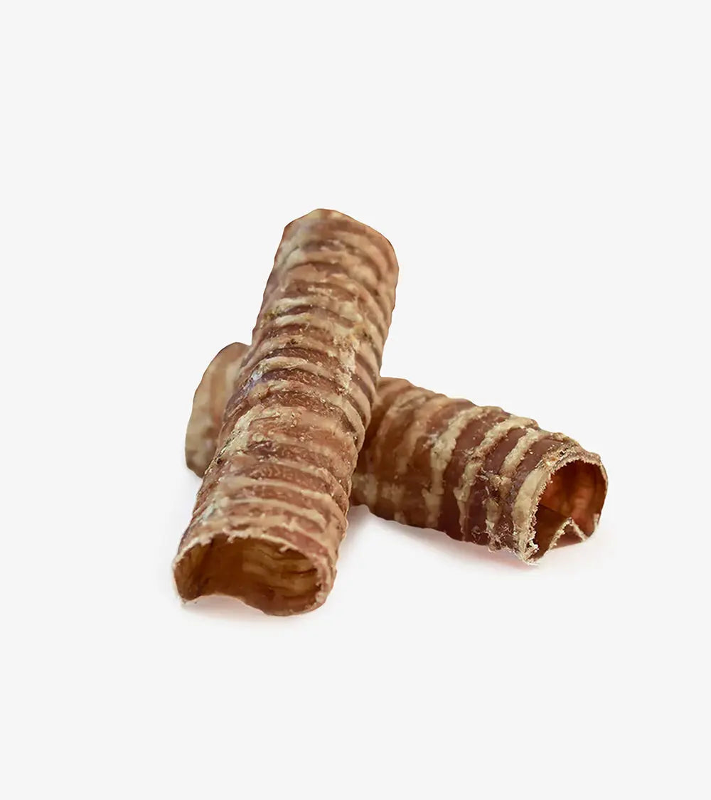 Beef Trachea 15cm (2 Pieces) | Treats & Chews | Human & Pets™