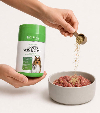 Biotin Skin & Coat