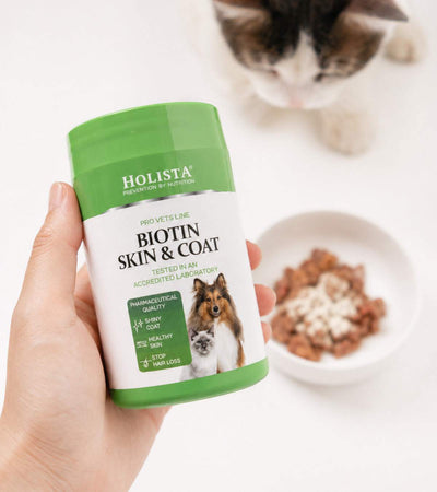 Biotin Skin & Coat