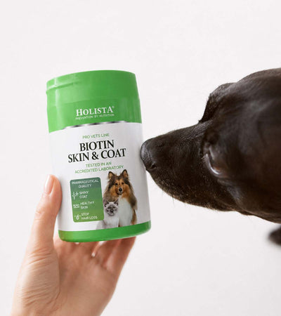 Biotin Skin & Coat
