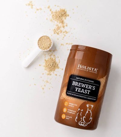 Brewer's Yeast