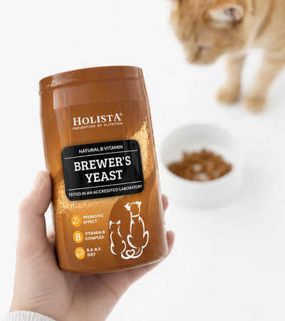 Brewer's Yeast