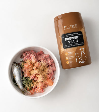 Brewer's Yeast