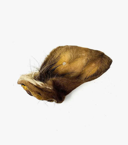 Cattle Ear with Fur (1 Piece) - Treats & Chews | Human & Pets