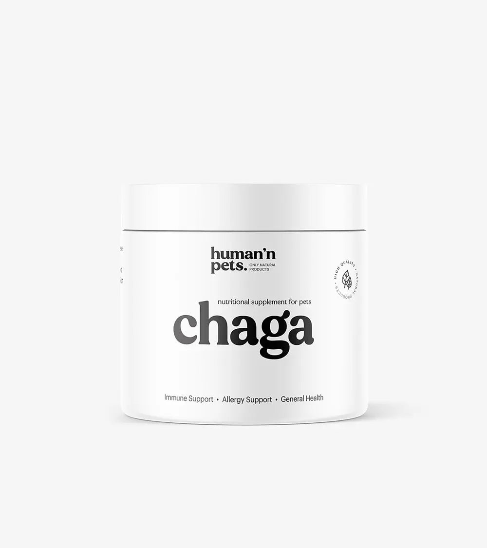 Chaga Mushroom Powder | Nutritional Supplements | Human & Pets™