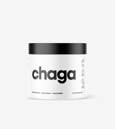 Chaga Mushroom Powder in a wooden bowl with natural forest background, highlighting pure pet health supplement