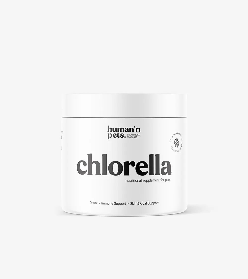 Chlorella Powder | Nutritional Supplements | Human & Pets™