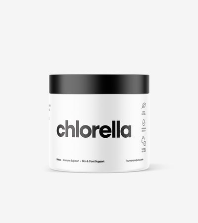 Organic Chlorella powder rich in protein, vitamins, and antioxidants for pet health and detoxification