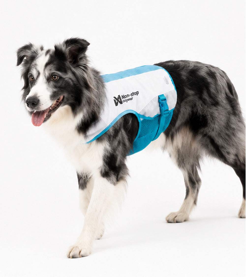 Cooling Vest