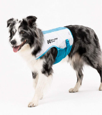 Cooling Vest