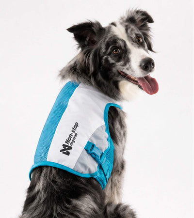 Cooling Vest