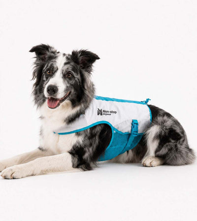 Cooling Vest