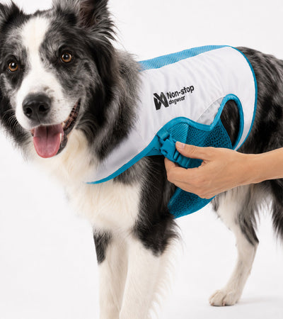 Cooling Vest