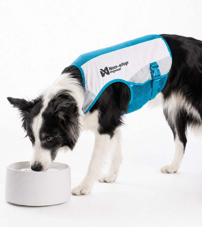 Cooling Vest