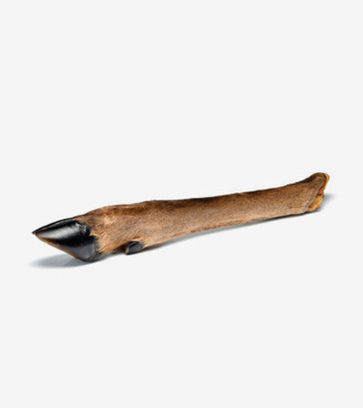 Deer Leg with Fur - Natural Dog Treat for Long-Lasting Chewing Fun