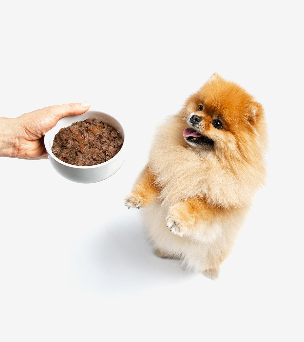 Gently Steamed Dog's Beef à la Canine Menu