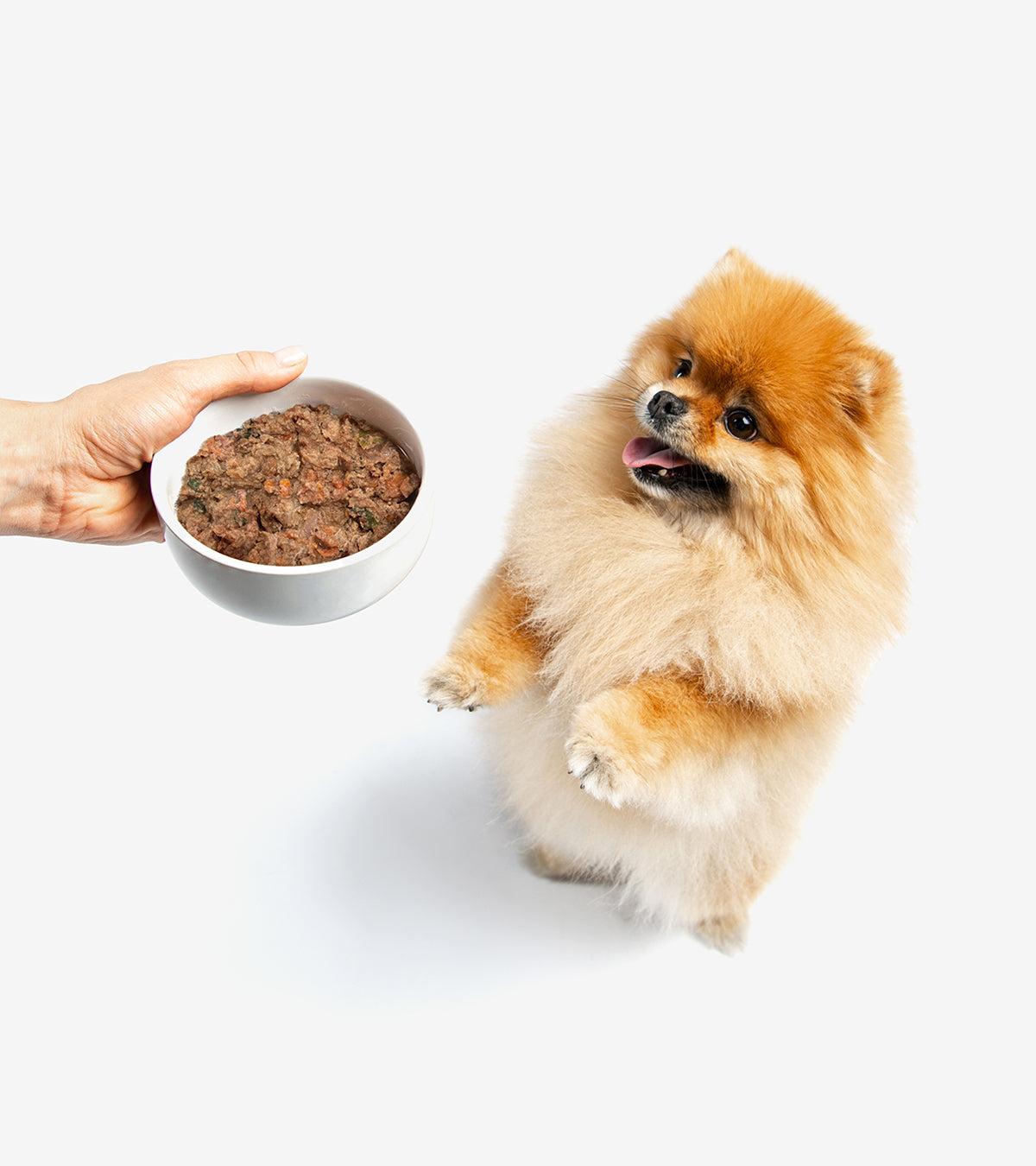 Gently Steamed Dog's Chicken Supreme Menu