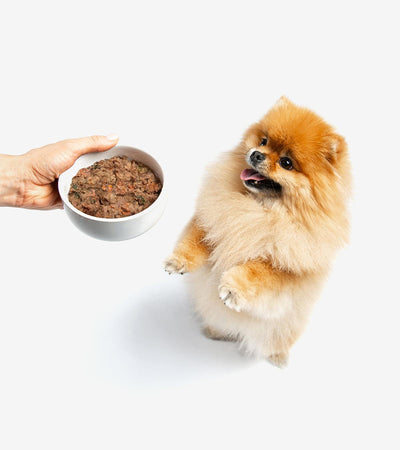 Gently Steamed Dog's Chicken Supreme Menu