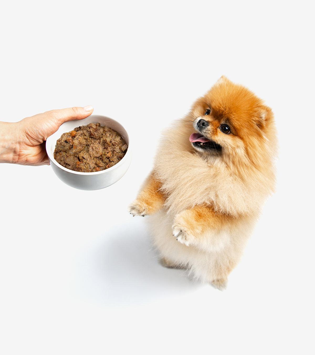 Gently Steamed Dog's Turkey & Salmon