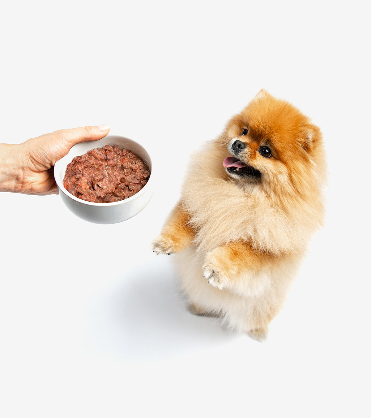 BARF Food: Chicken & Salmon Menu for Dogs - Best Raw Food in Cyprus