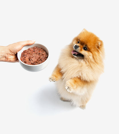 BARF Food: Chicken & Salmon Menu for Dogs - Best Raw Food in Cyprus