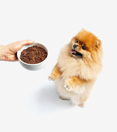BARF Food: Horse Gourmet Menu for Dogs - The Best Raw Food in Cyprus