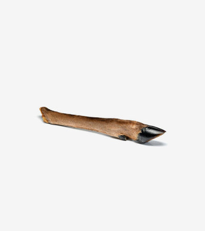 Doe Leg with Fur - Natural Long-Lasting Treat for Dogs and Cats