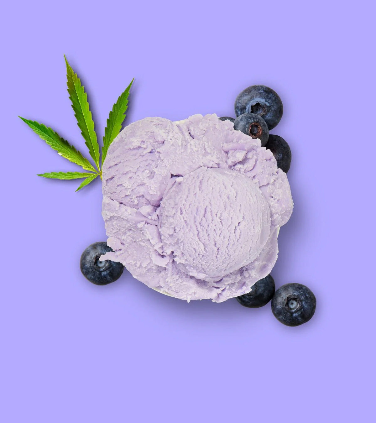 Dog Ice Cream® Hemp & Blueberry