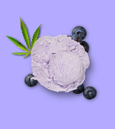 Dog Ice Cream® Hemp & Blueberry