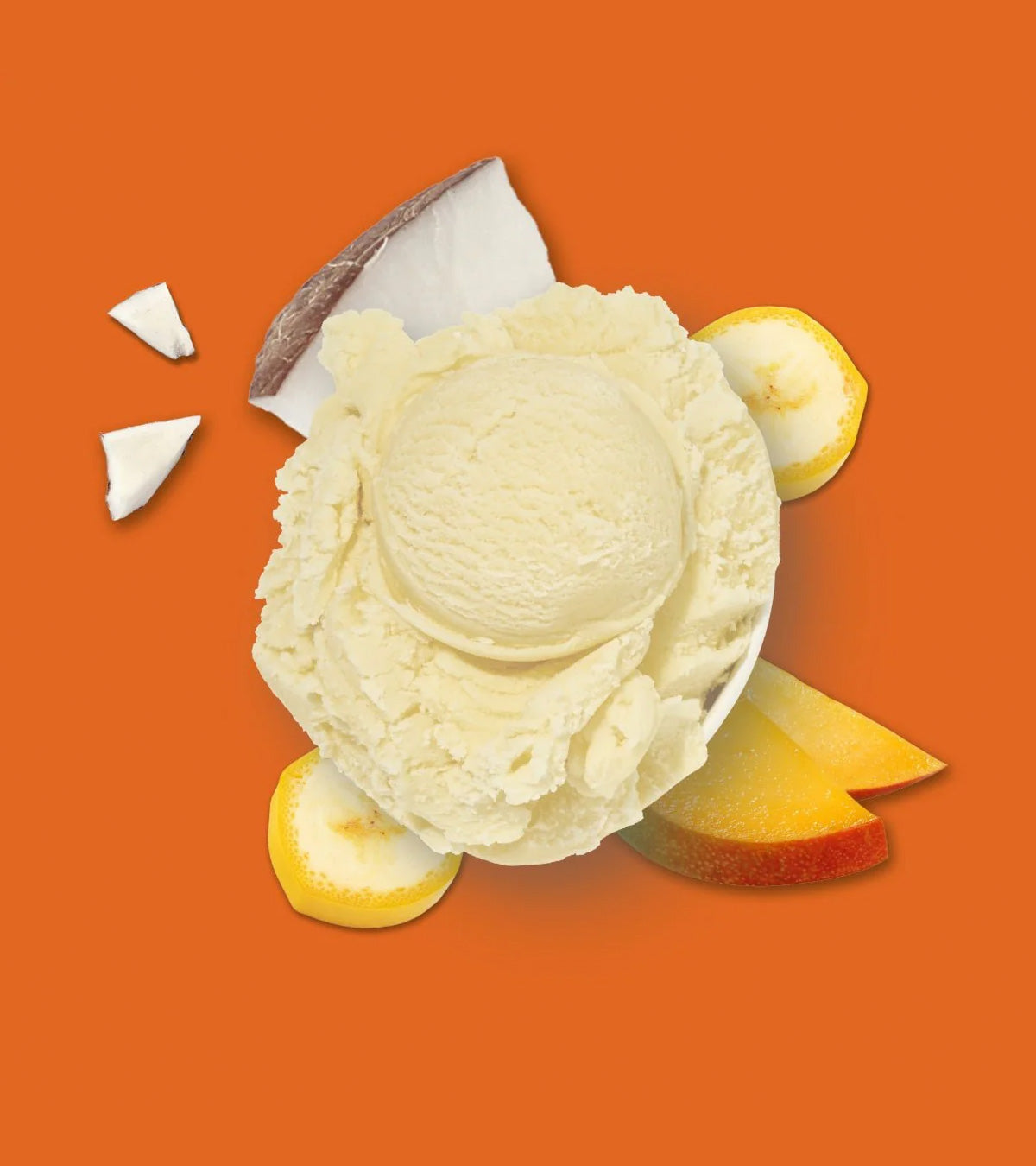 Dog Ice Cream® Banana, Coconut Yoghurt & Mango