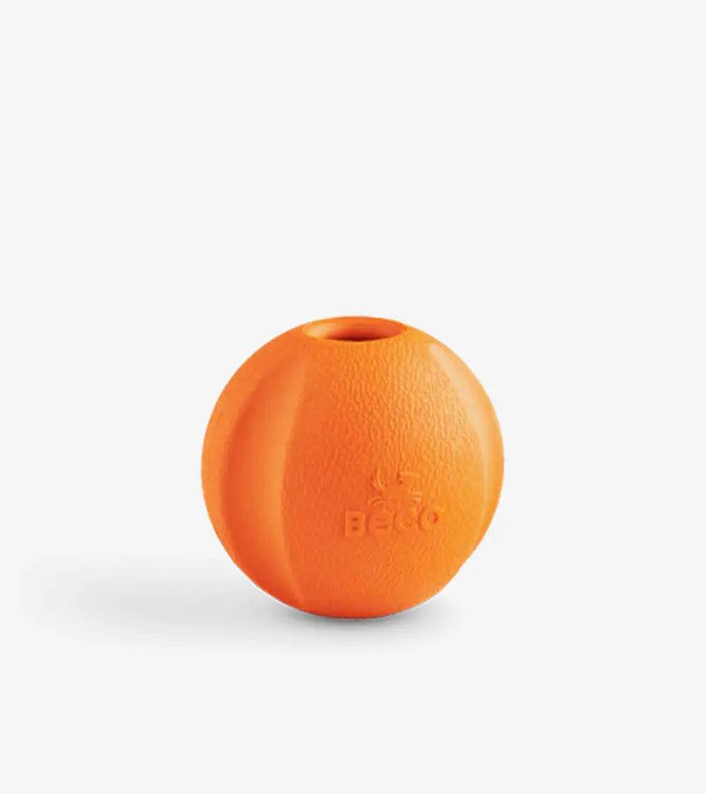 Fetch Human Fetch Ball