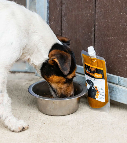 Turmeric Golden Paste for pets, natural supplement, supports joint health, digestion, skin care, antioxidant properties.