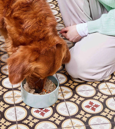 Fresh Horse Meal for Dogs | Human & Pets