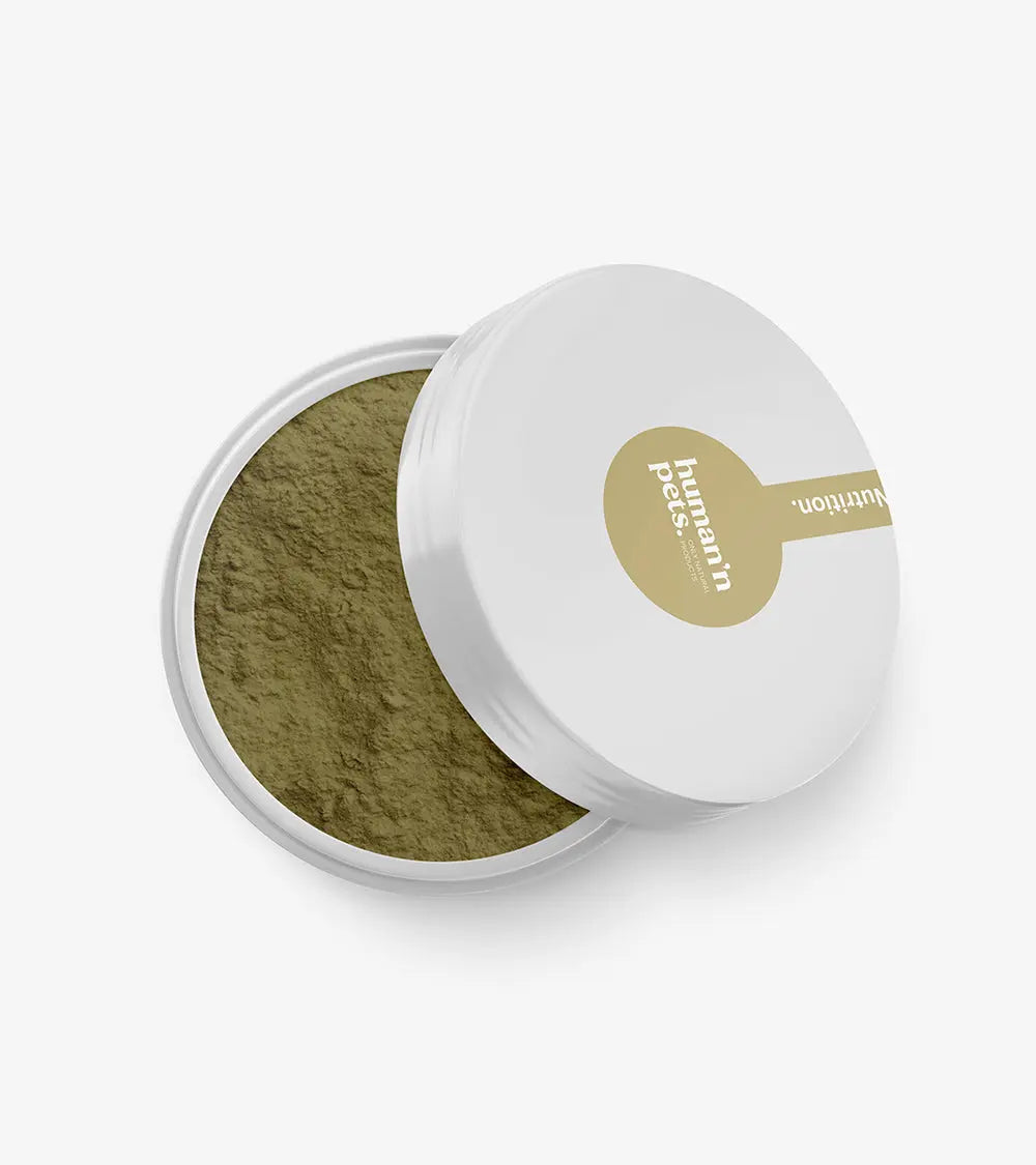 Green-Lipped Mussels Powder | Nutritional Supplements | Human & Pets™